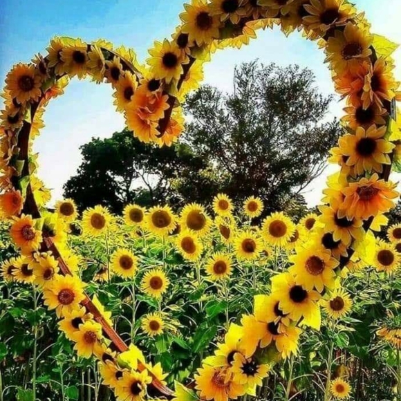 Meet your Posher, Linda : D - Picture 7 of 8